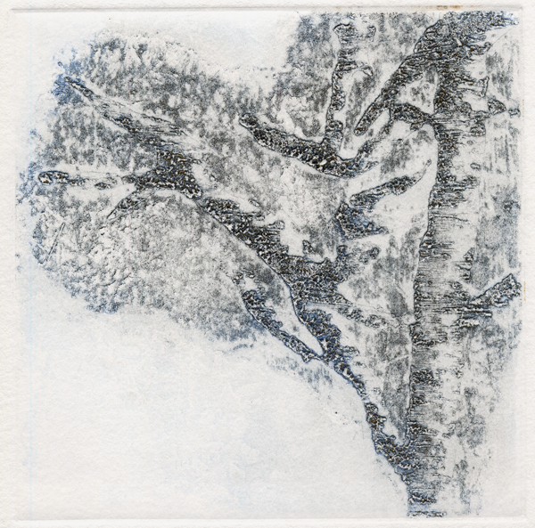 Mireille Ripoll – Images 2005