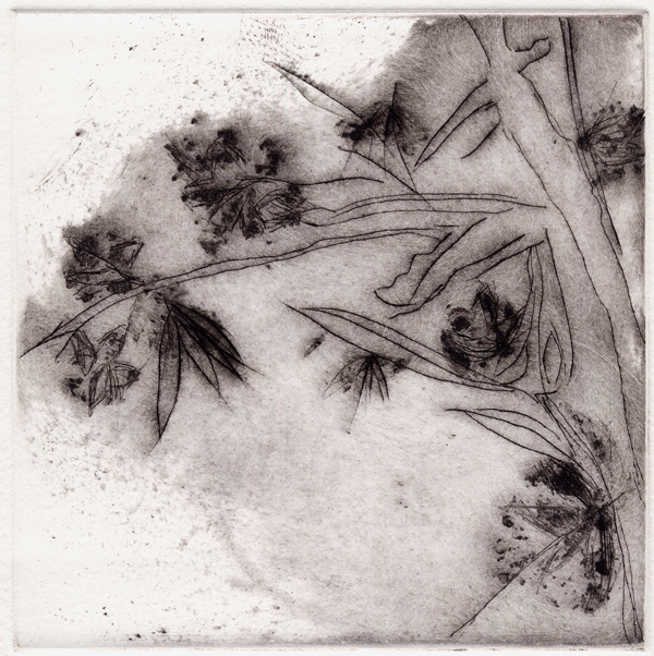 Mireille Ripoll – Images 2005