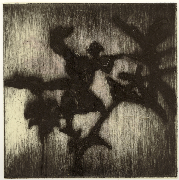 Mireille Ripoll – Images 2005