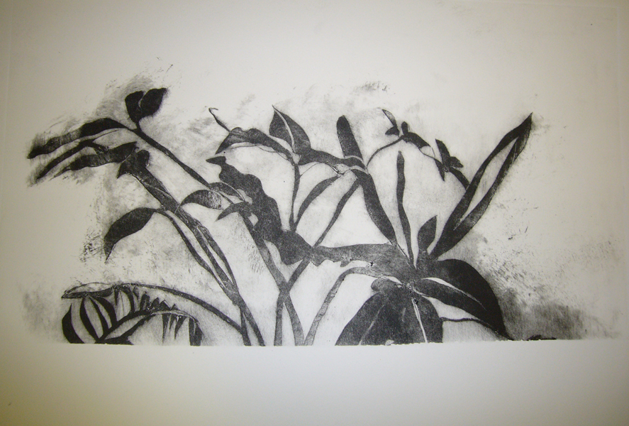 Mireille Ripoll – Images 2011