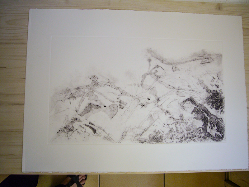 Mireille Ripoll – Images 2012