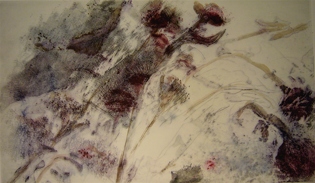 Mireille Ripoll – Images 2012